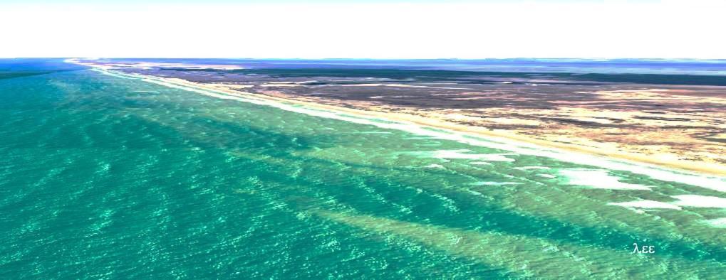 South Padre Stayz South Padre Island Εξωτερικό φωτογραφία