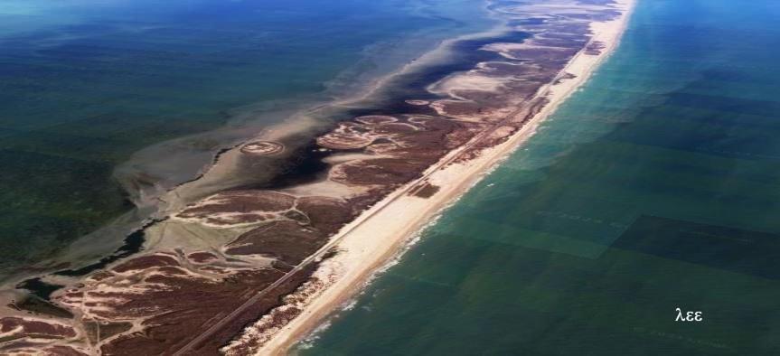 South Padre Stayz South Padre Island Εξωτερικό φωτογραφία