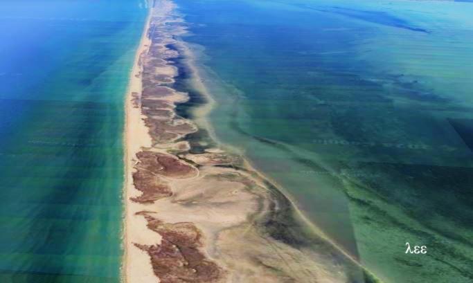 South Padre Stayz South Padre Island Εξωτερικό φωτογραφία
